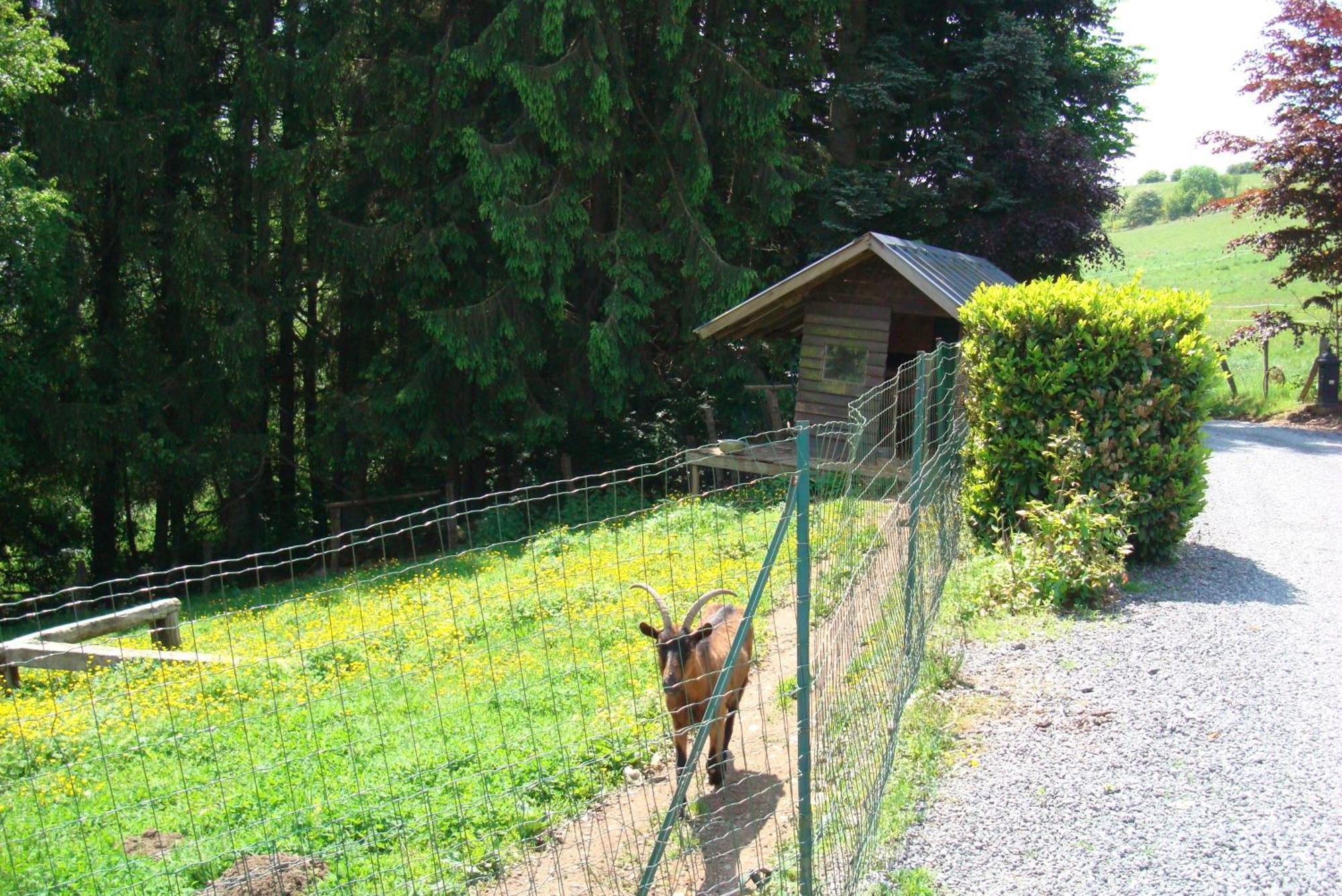 Gite La Gernelle Bouillon Exterior foto