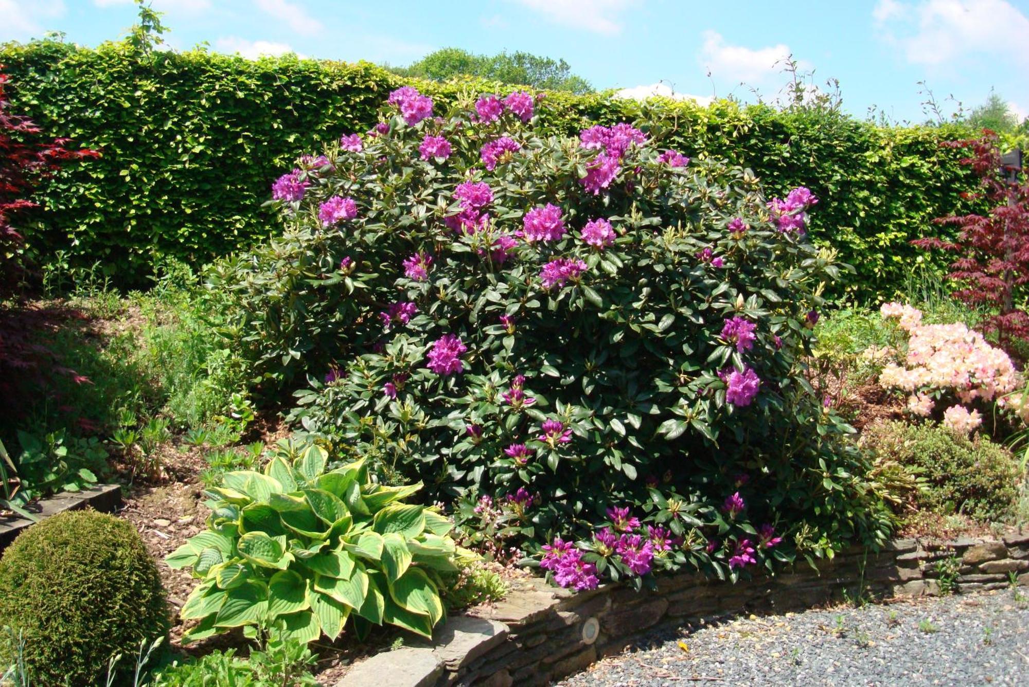 Gite La Gernelle Bouillon Exterior foto